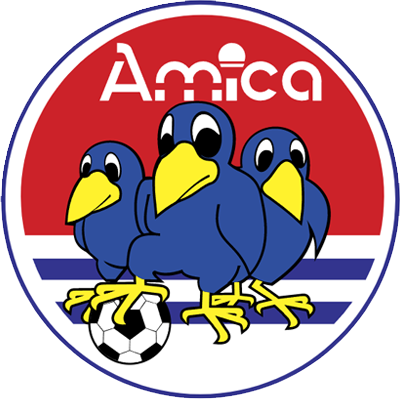 Amica Wronki