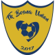 Bosna Union